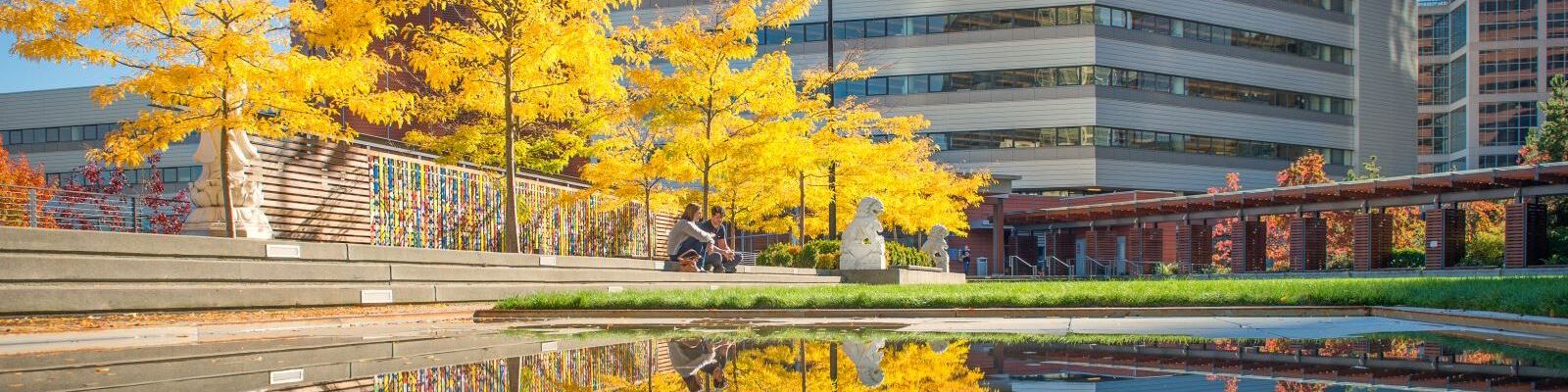 Bellevue, Washington visual data 6